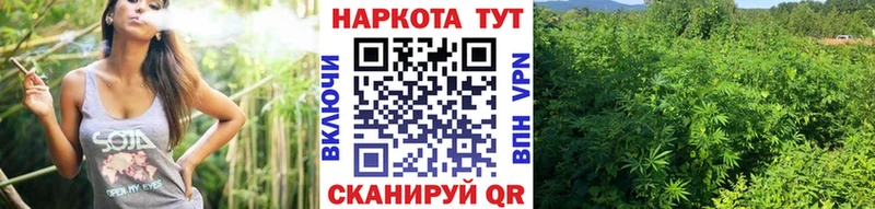 Магазин наркотиков Лесной NBOMe  COCAIN  Меф мяу мяу  Конопля  ГАШИШ  АМФ  МДМА 