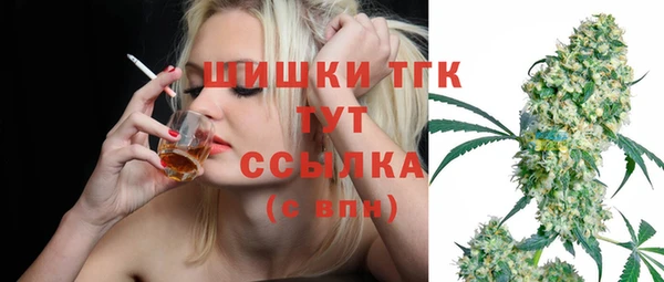 крисы Баксан
