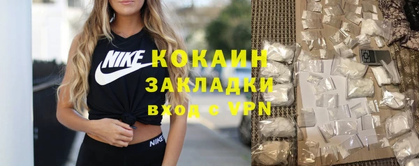 крисы Баксан