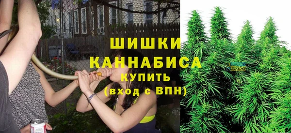 крисы Баксан